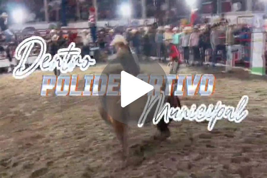 Ver video