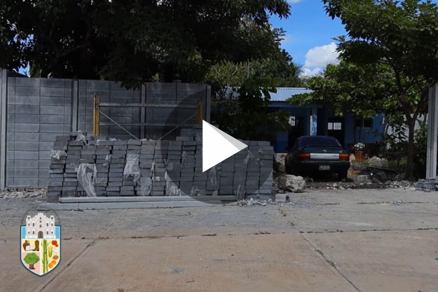 Ver video