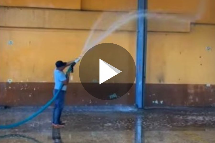 Ver video
