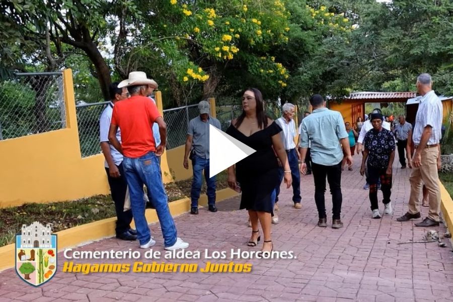 Ver video