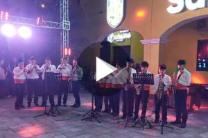Ver Live 2