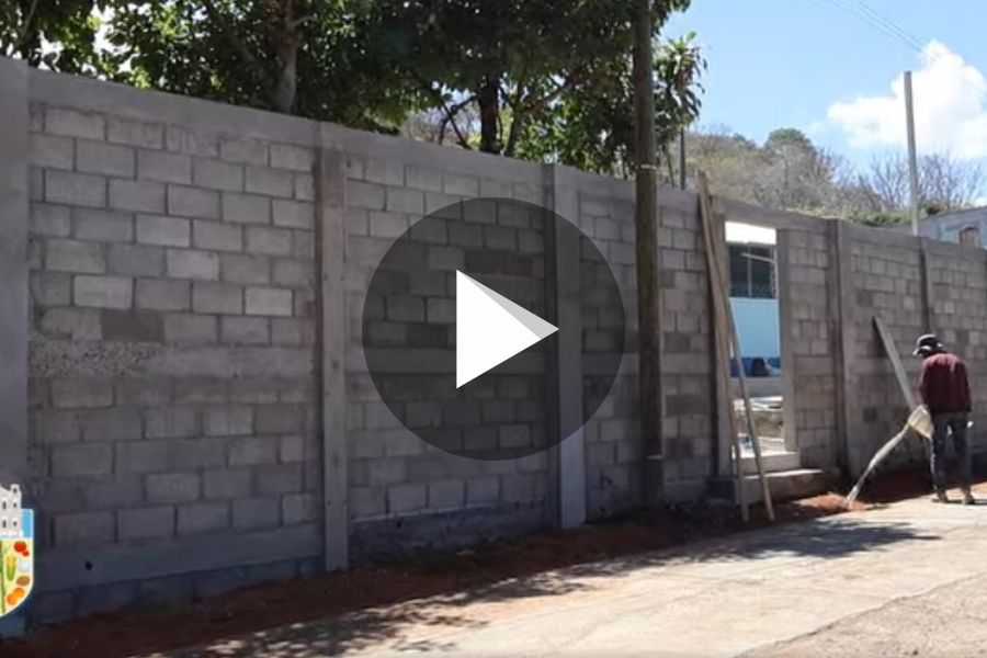 Ver video