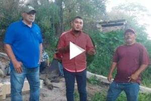 Ver video