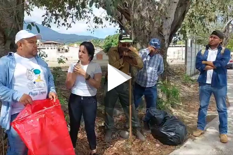 Ver video