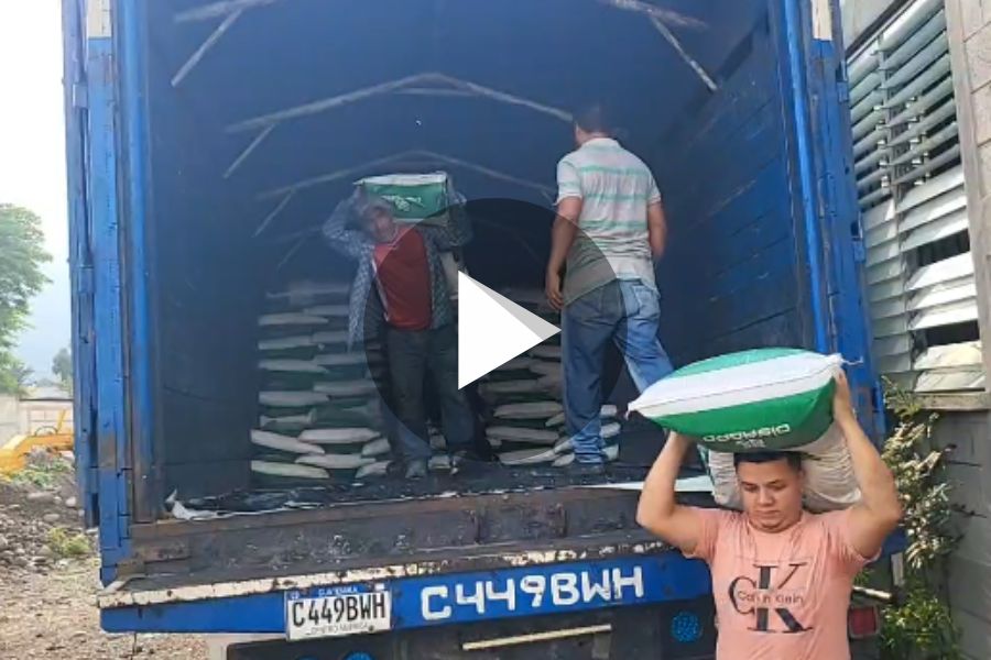 Ver video