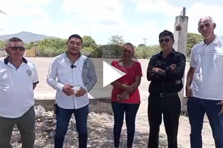 Ver video