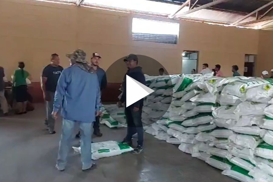 Ver video