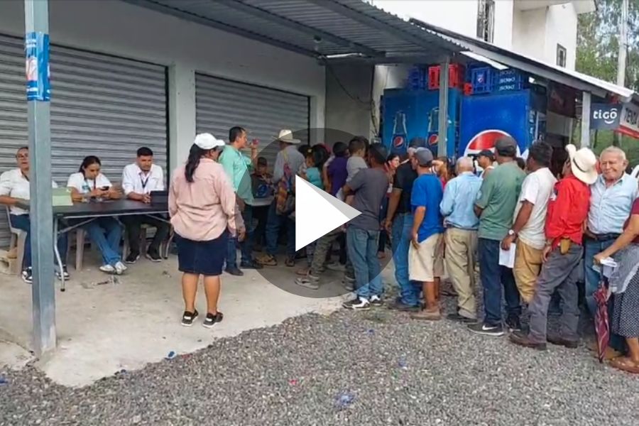 Ver video