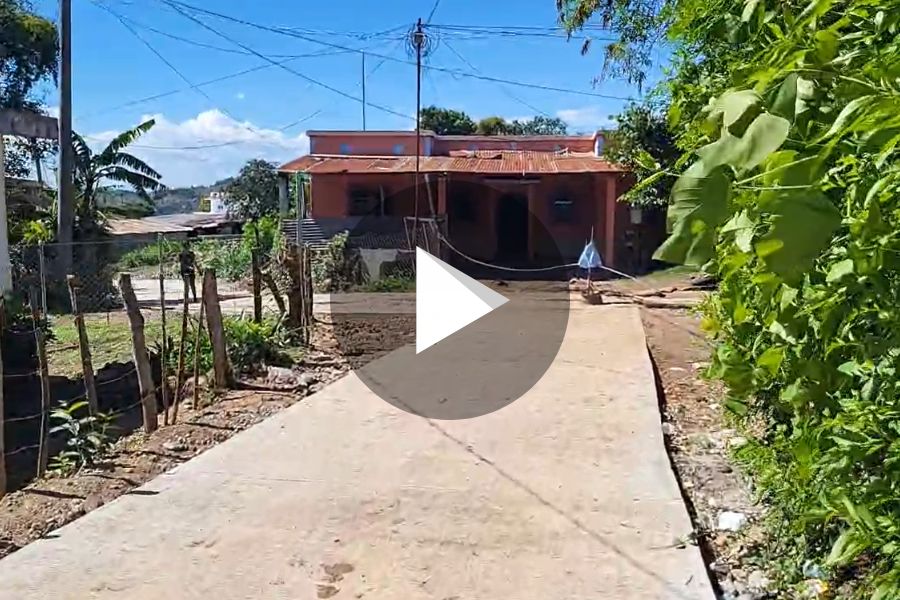 Ver video
