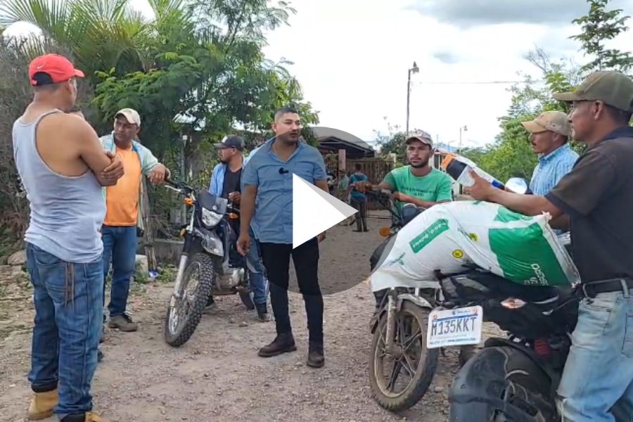 Ver video