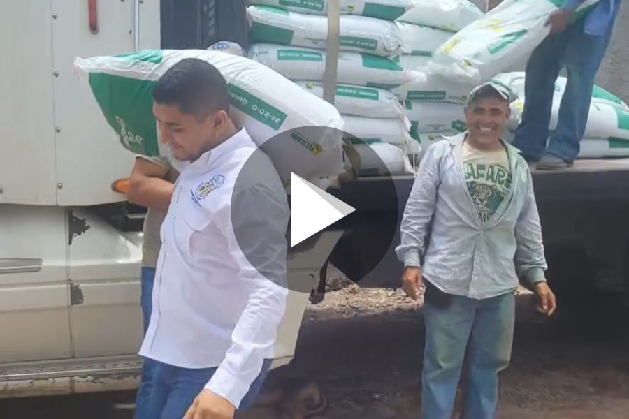 Ver video