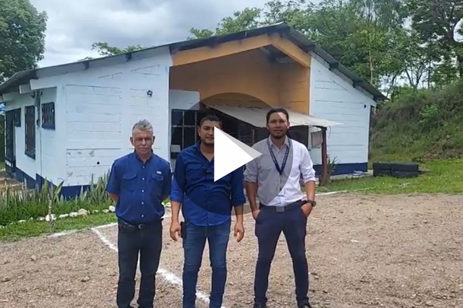 Ver video