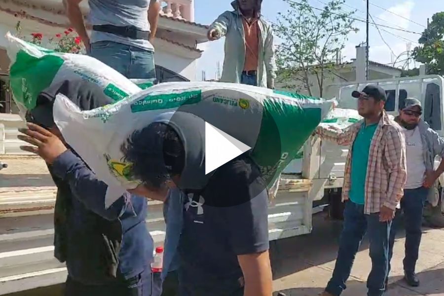 Ver video
