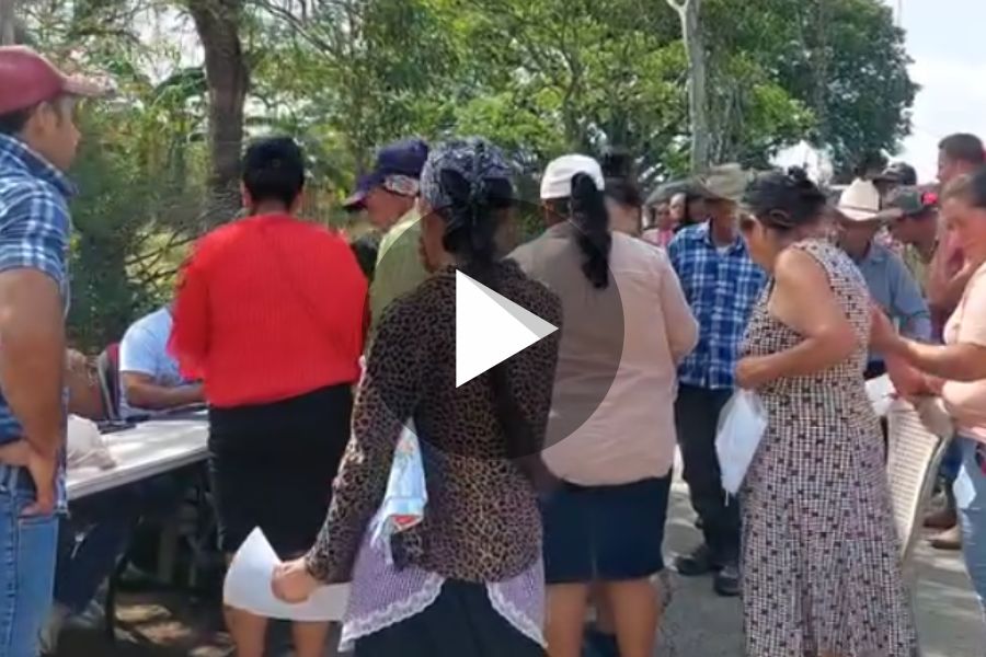 Ver video