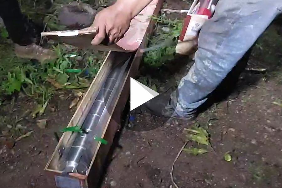 Ver video