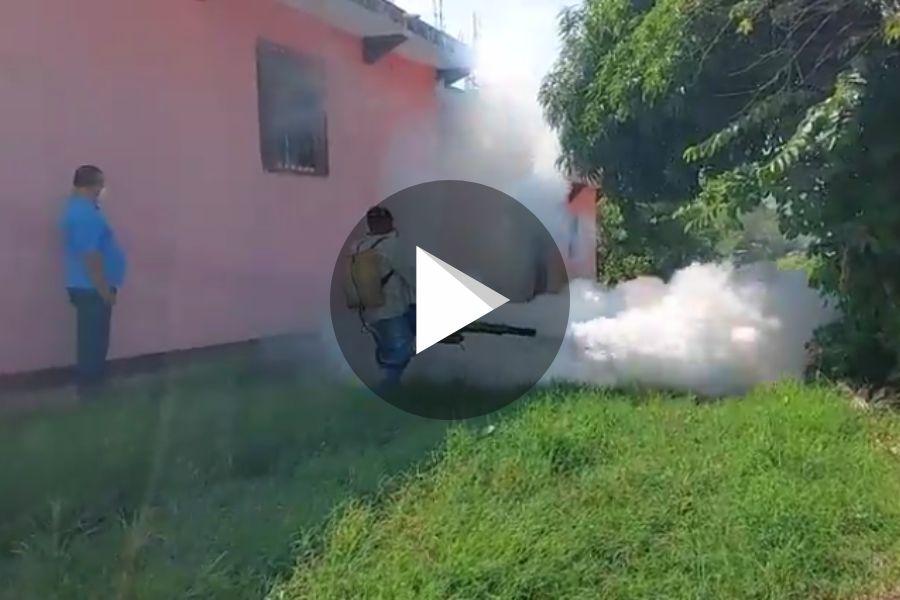 Ver video