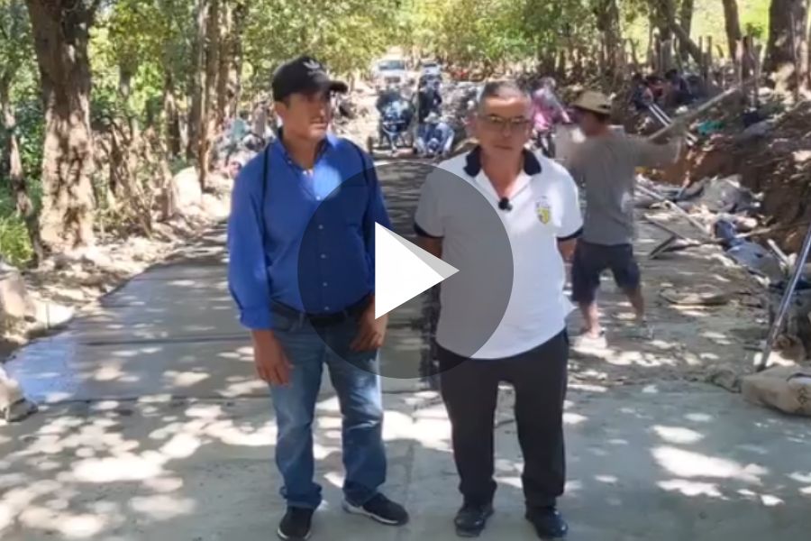 Ver video
