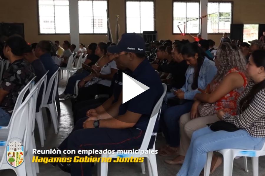 Ver video