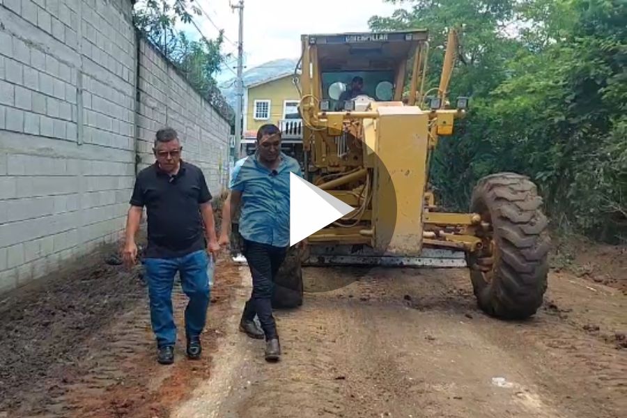 Ver video