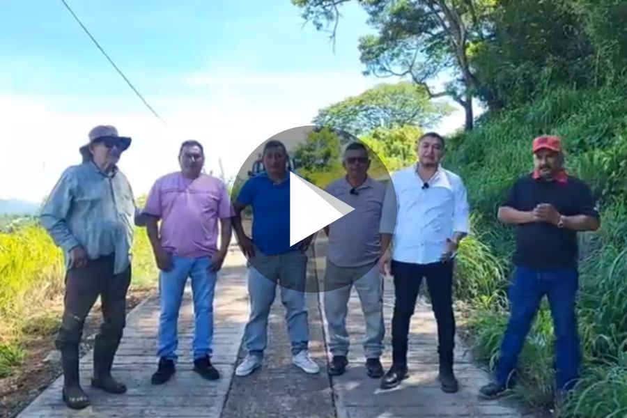 Ver video
