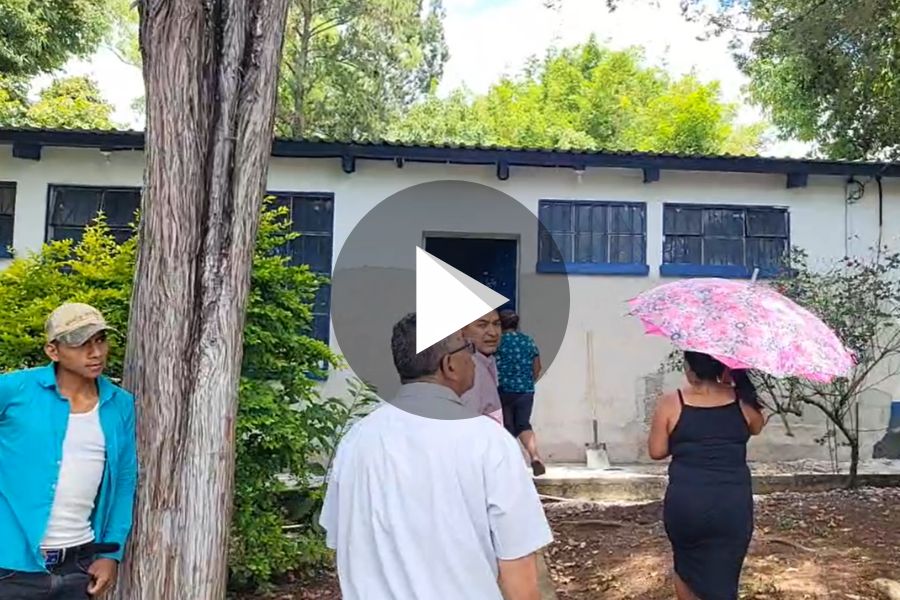 Ver video