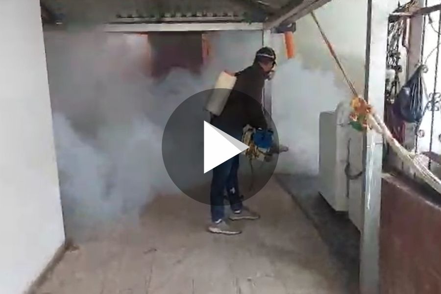 Ver video