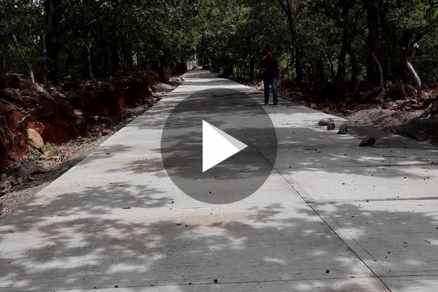 Ver video