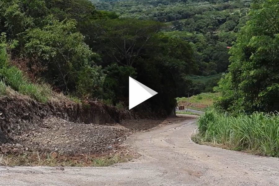 Ver video