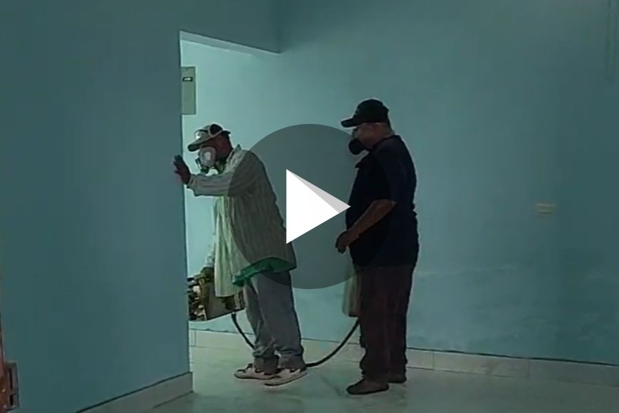 Ver video