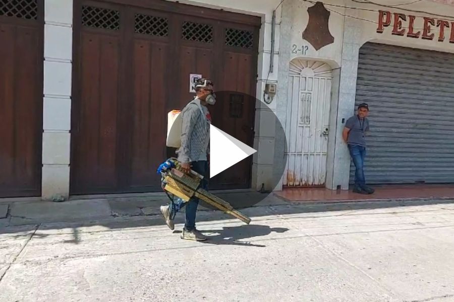 Ver video
