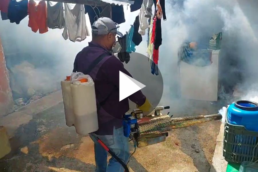 Ver video