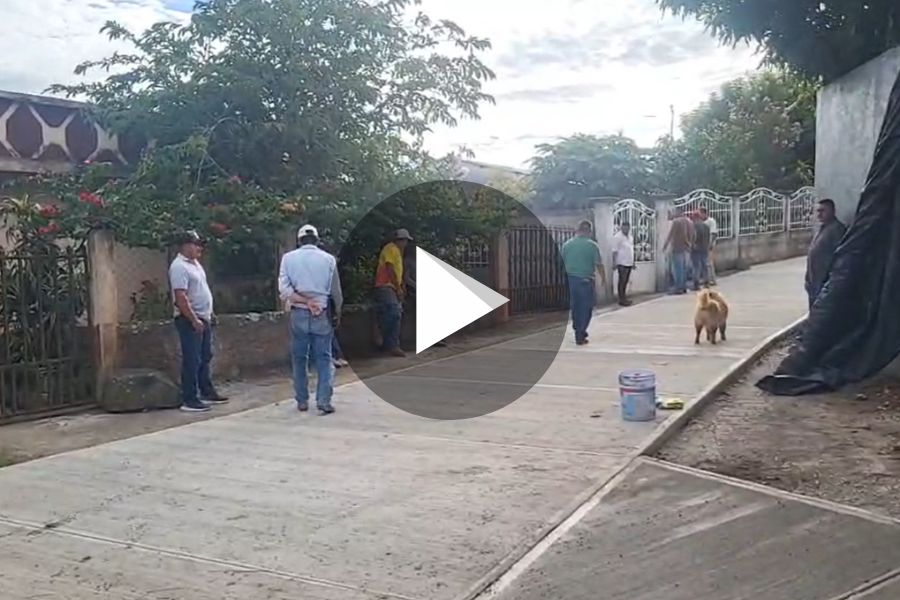 Ver video