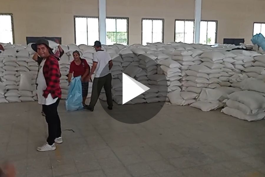Ver video