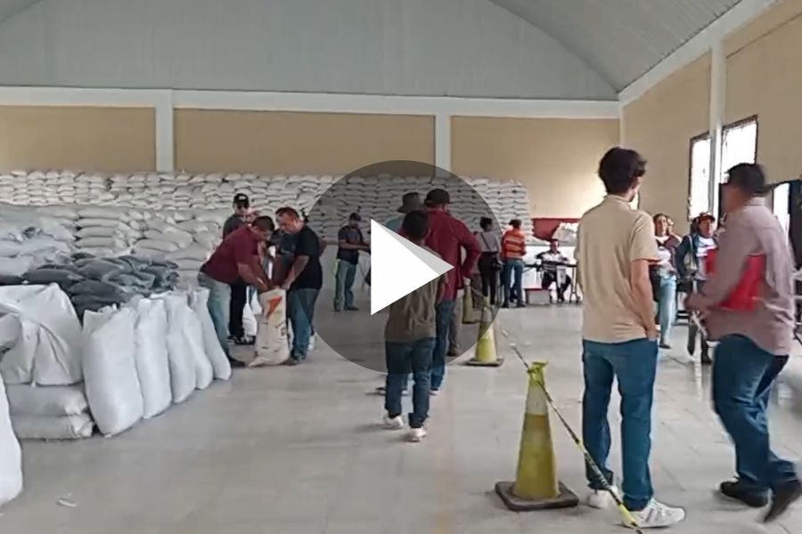 Ver video
