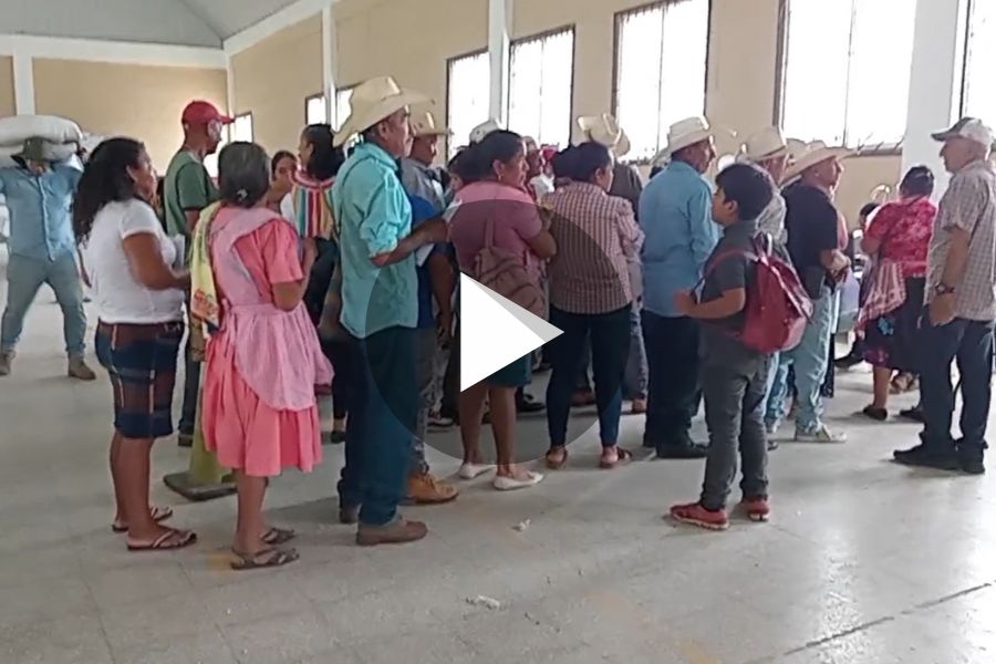 Ver video