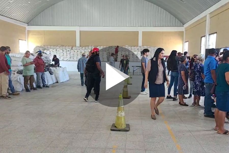 Ver video