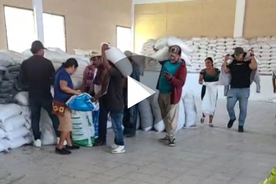 Ver video