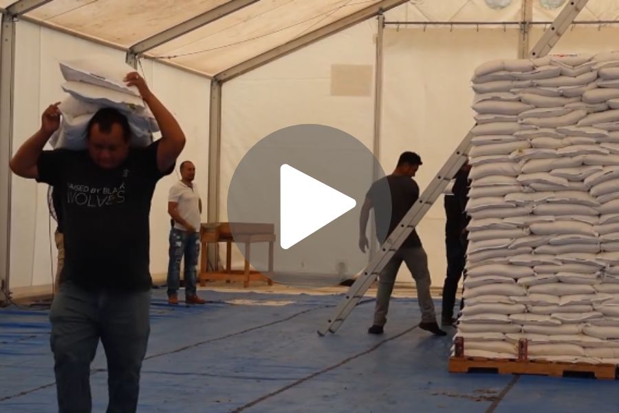 Ver video