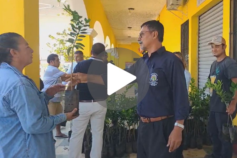 Ver video