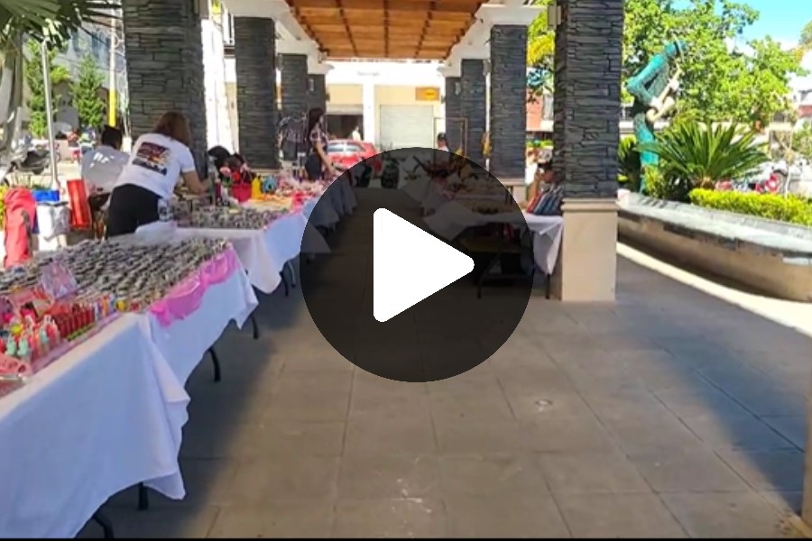 Ver video