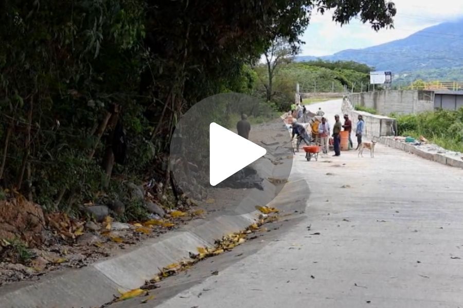 Ver video