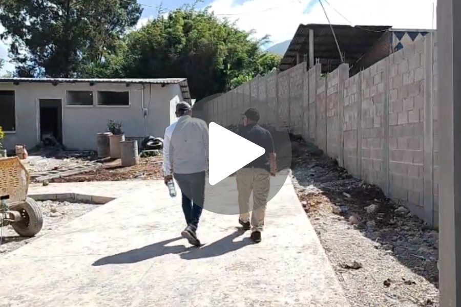 Ver video