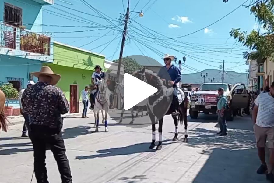 Ver video
