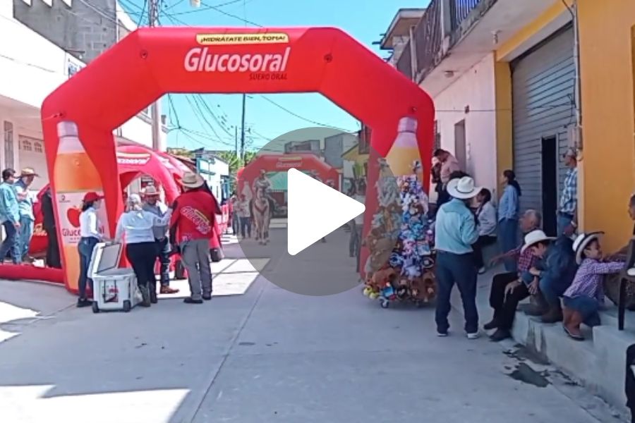 Ver video