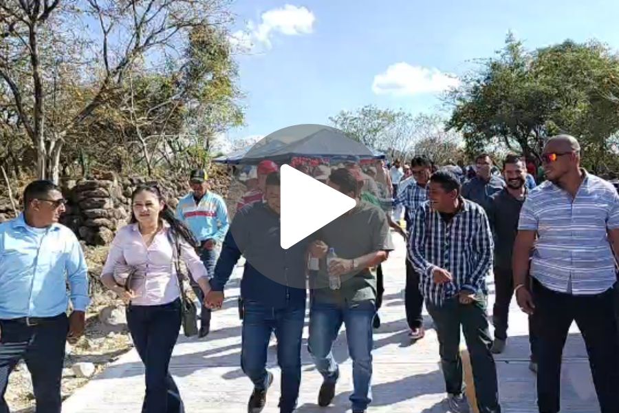 Ver video