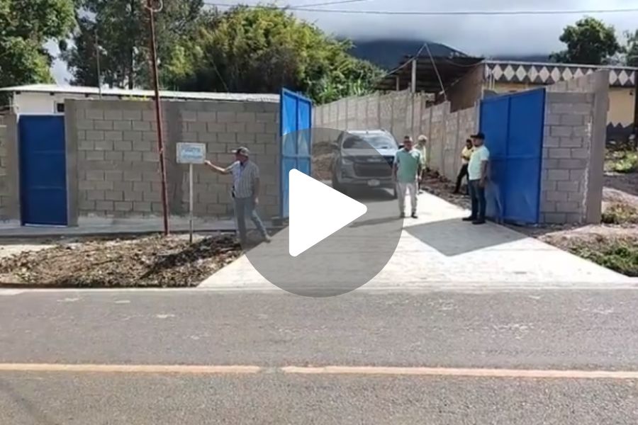 Ver video