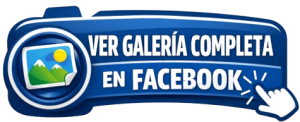 Ver Galería