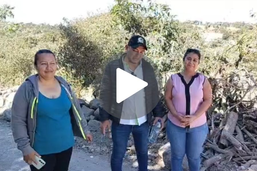 Ver video