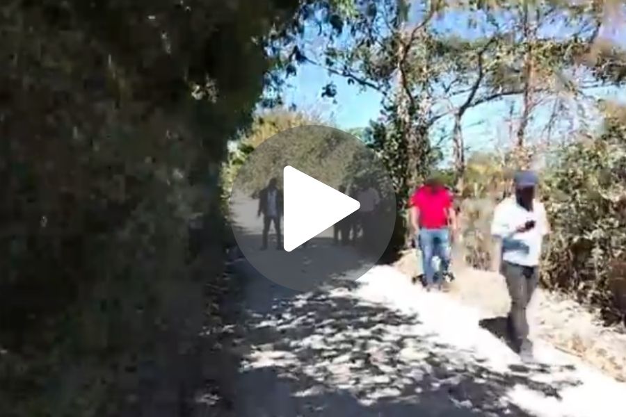 Ver video