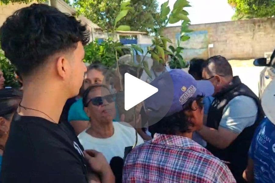 Ver video